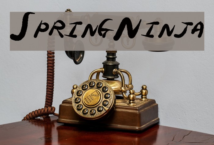 SpringNinja Example 2