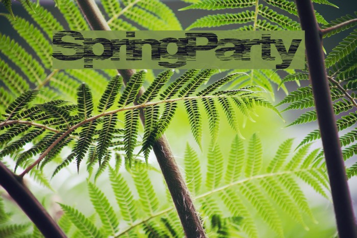 SpringParty Font examples