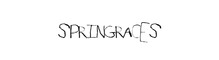 SpringRaces 
