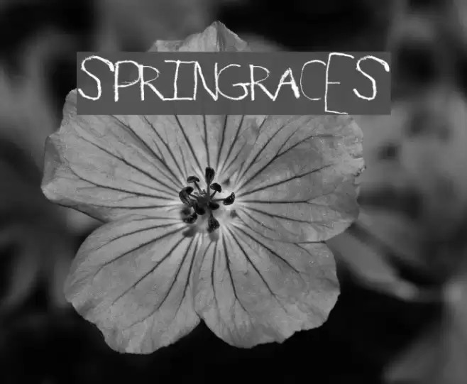 SpringRaces Font examples