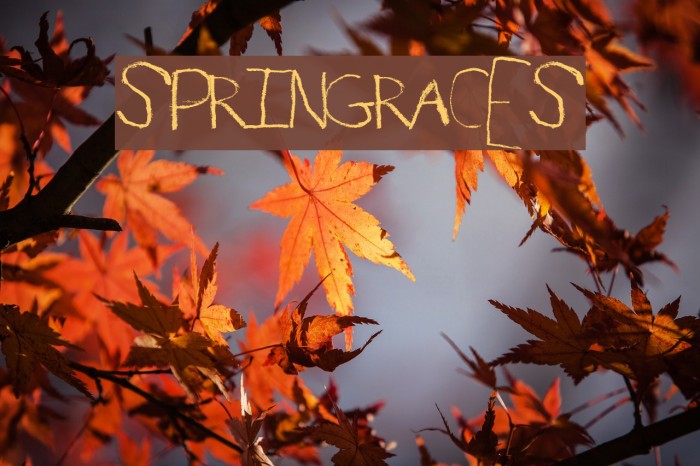 SpringRaces Font examples