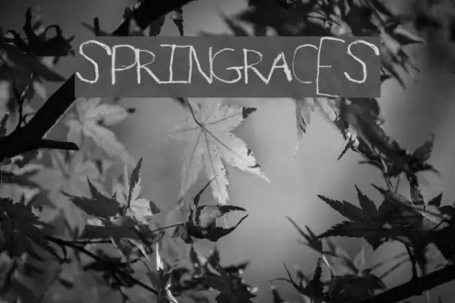 SpringRaces Font examples