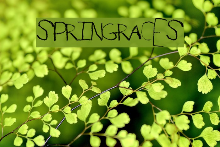 SpringRaces Font examples