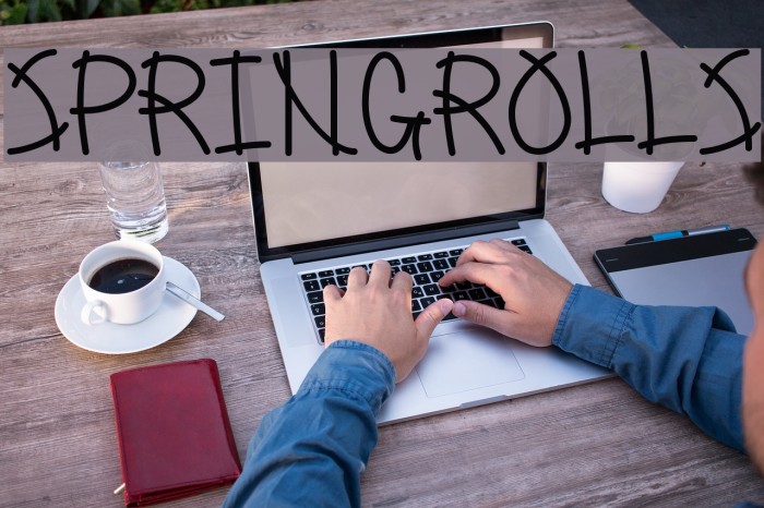 SpringRolls Example 3