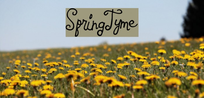 SpringTyme Example 1