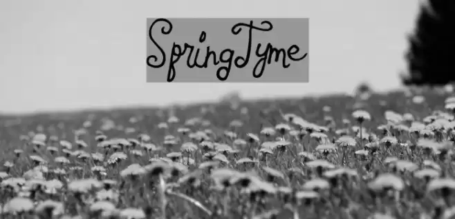 SpringTyme Font examples