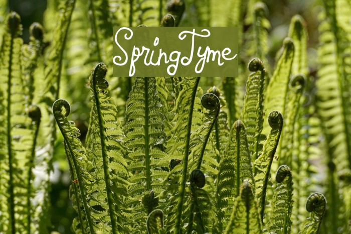 SpringTyme Example 2