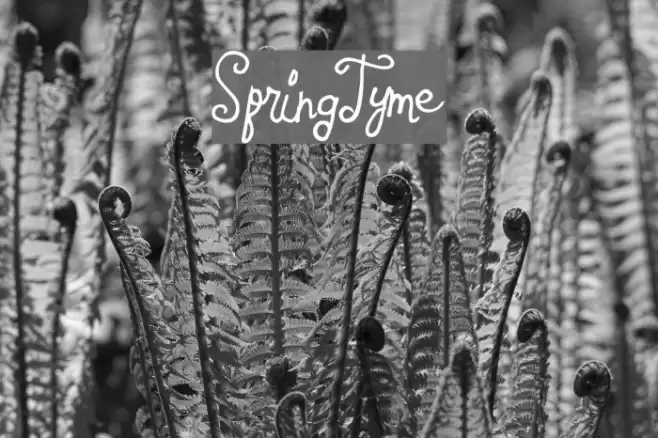 SpringTyme Font examples