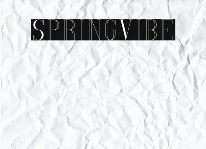 SpringVibe Example 1