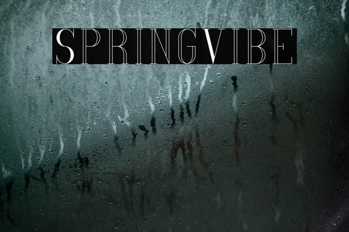 SpringVibe Font examples