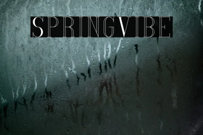 SpringVibe Example 2