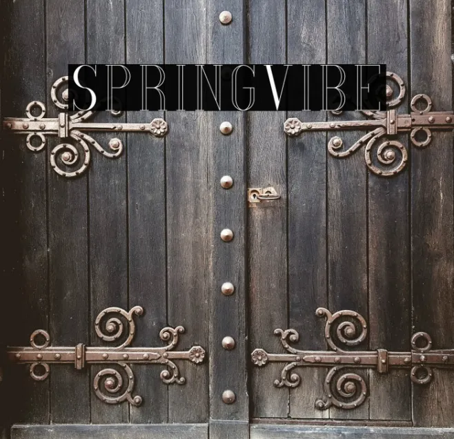 SpringVibe Example 3