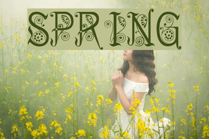 Spring फ़ॉन्ट examples