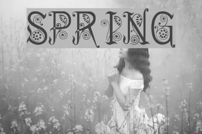 Spring Font examples
