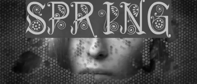 Spring Font examples