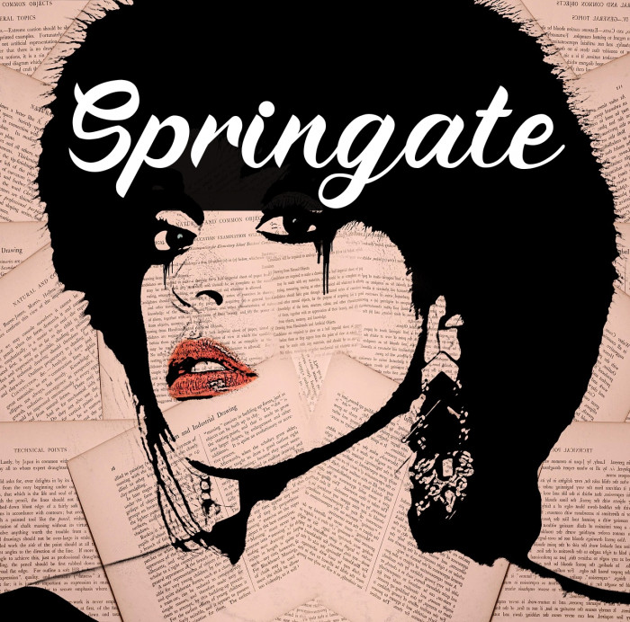 Springate Example 3