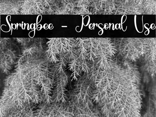 Springbee - Personal Use Font examples