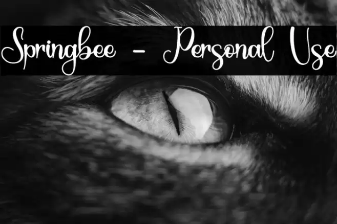 Springbee - Personal Use Font examples