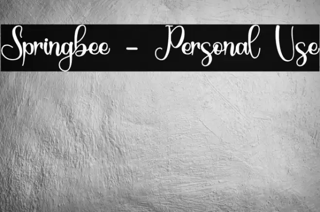 Springbee - Personal Use Font examples