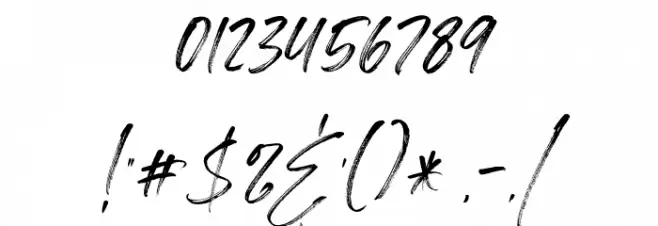 Springfield Demo Font OTHER CHARS