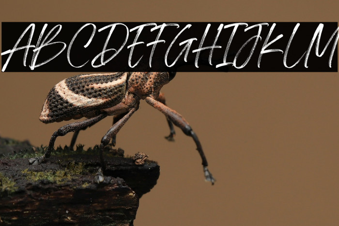 Springfield Demo Example 1