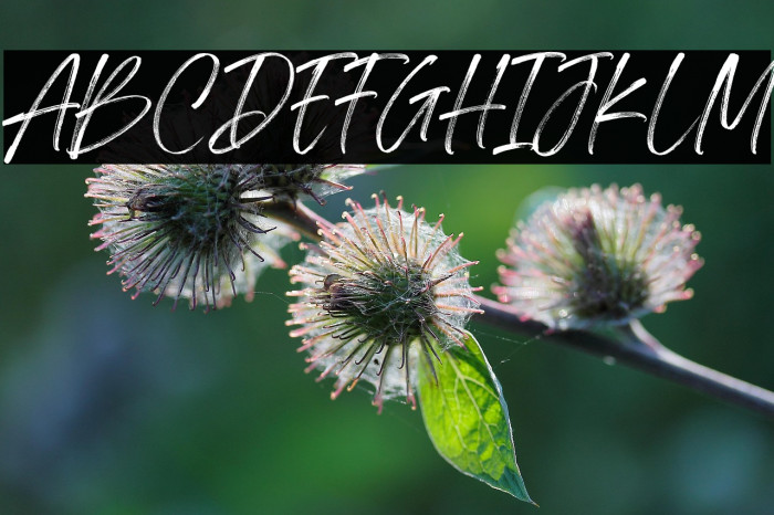 Springfield Demo Example 2