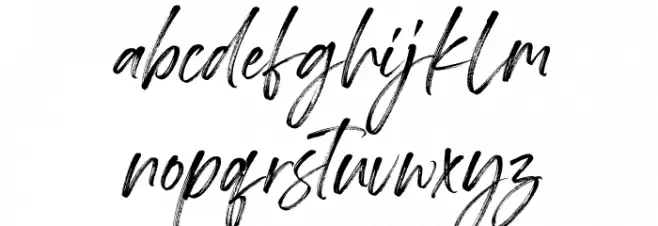 Springfield Demo Polices MINUSCULES