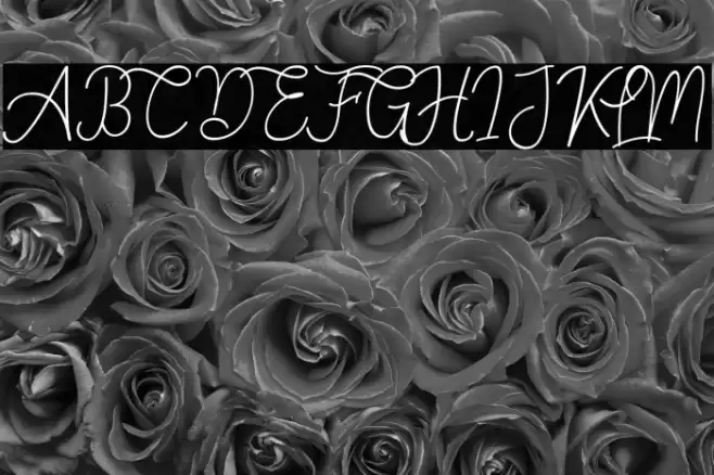 Springfield Font examples