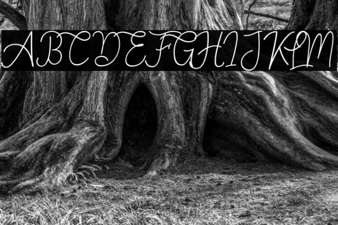 Springfield Font examples