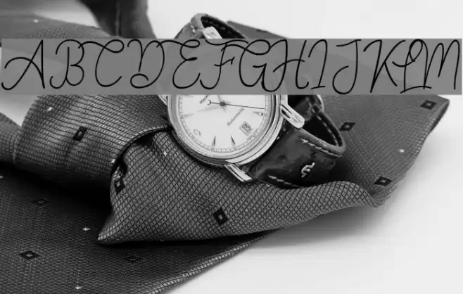 Springfield Font examples