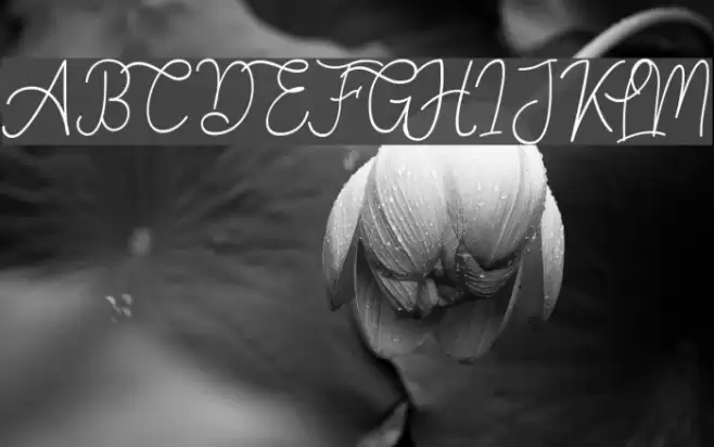 Springfield Font examples