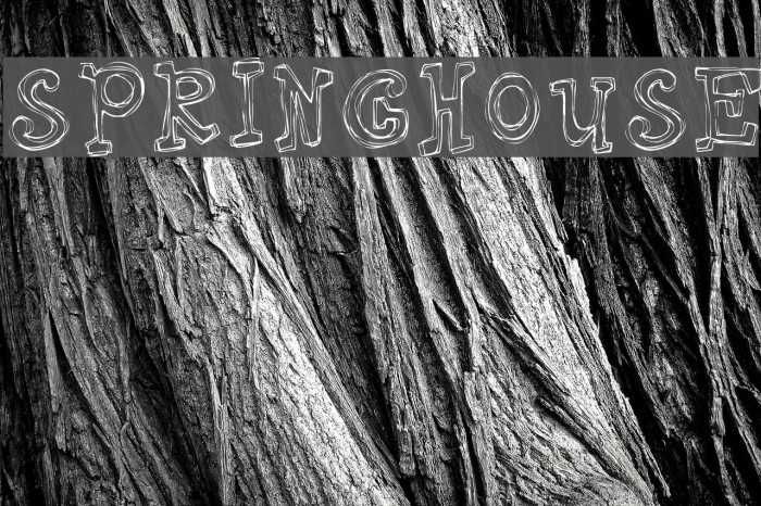 Springhouse Font examples