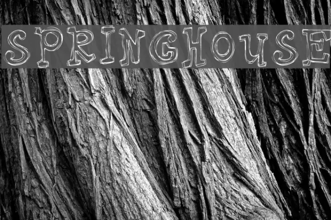 Springhouse フォント examples