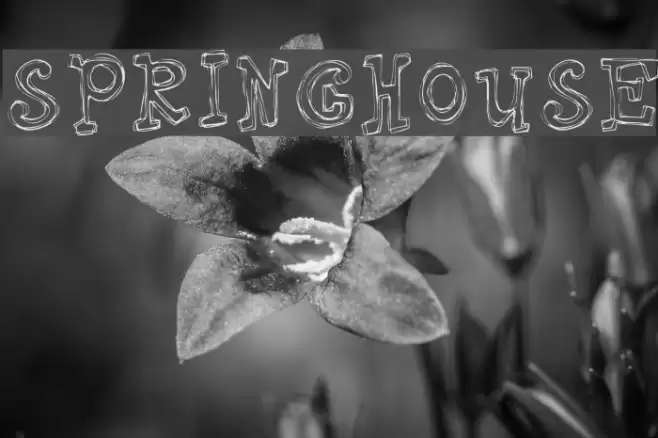 Springhouse フォント examples