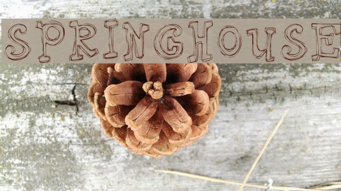 Springhouse Font examples