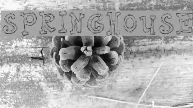 Springhouse フォント examples