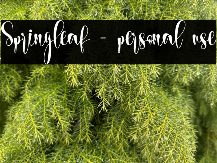 Springleaf - personal use Example 1