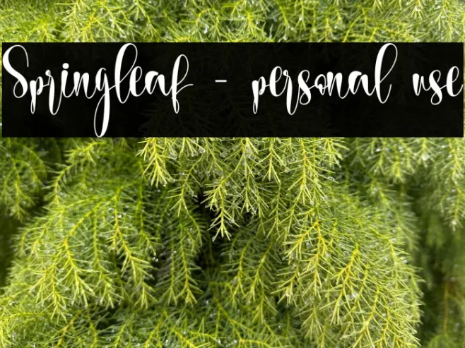 Springleaf - personal use Example 1