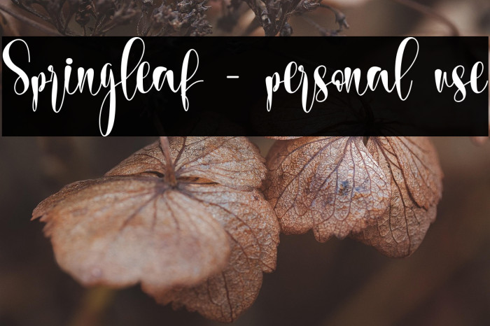 Springleaf - personal use Example 2