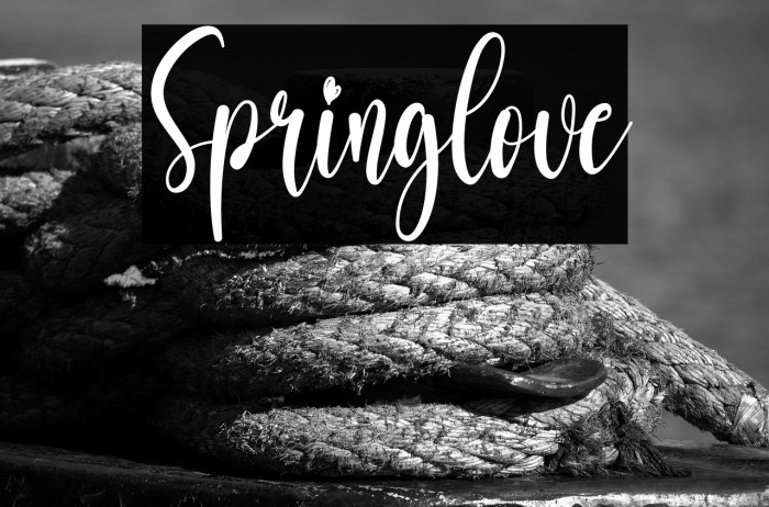 Springlove Example 1