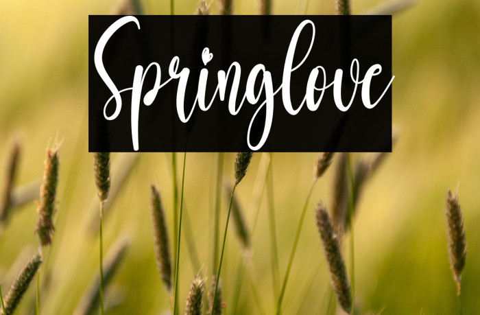 Springlove Example 2
