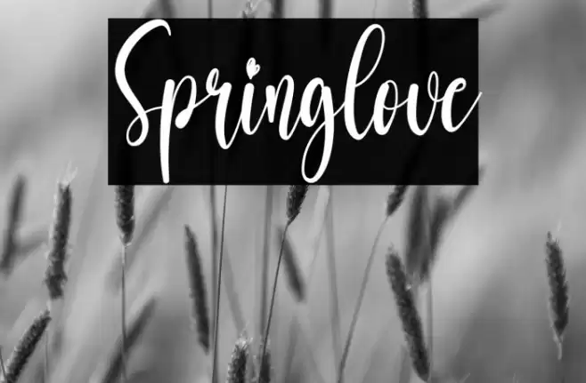 Springlove Schriftart examples