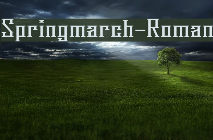Springmarch-Roman Font examples