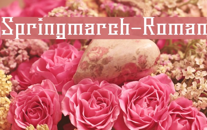 Springmarch-Roman Font examples