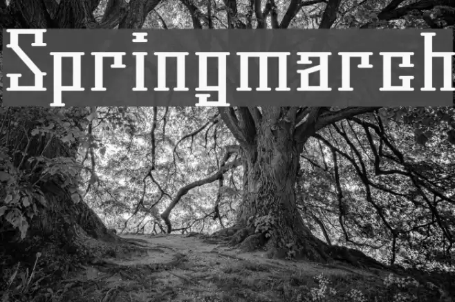 Springmarch Шрифта examples