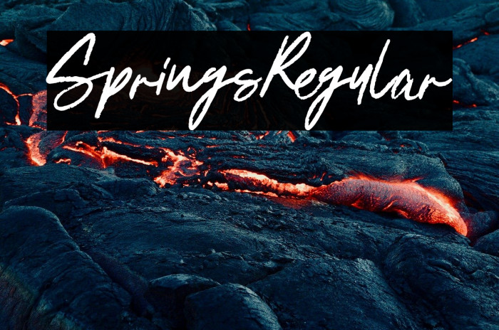 SpringsRegular Example 2