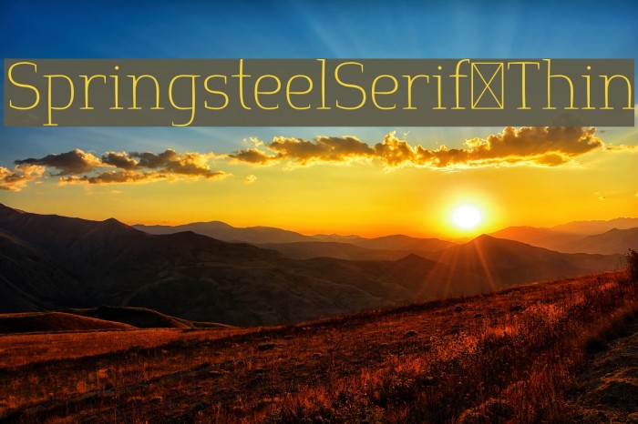 SpringsteelSerif-Thin Example 3