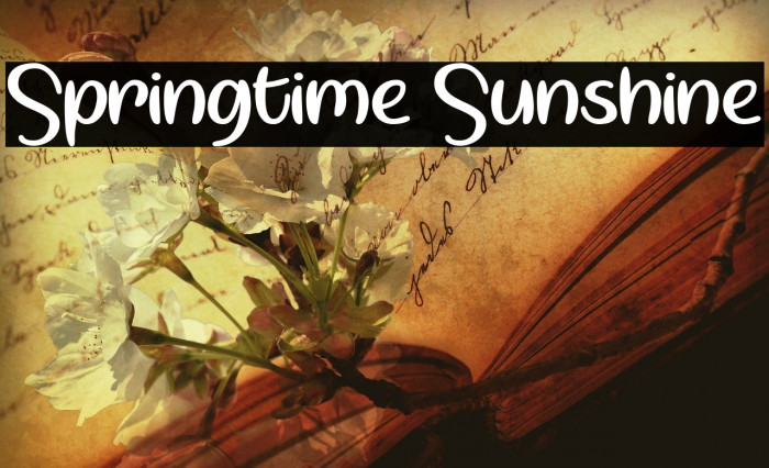 Springtime Sunshine Font examples