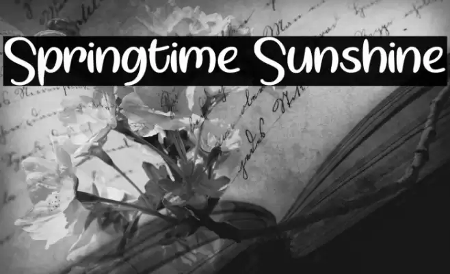 Springtime Sunshine Schriftart examples