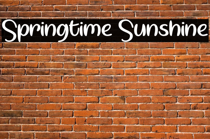 Springtime Sunshine Font examples